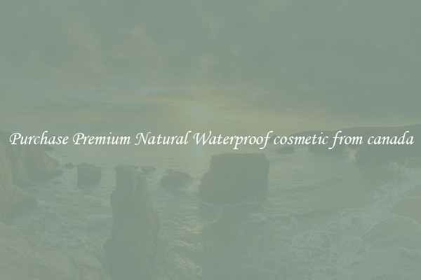 Purchase Premium Natural Waterproof cosmetic from canada