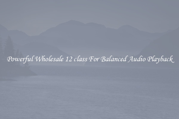 Powerful Wholesale 12 class For Balanced Audio Playback