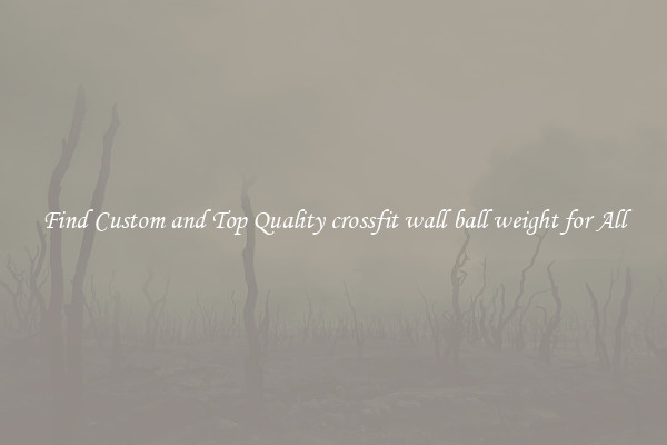 Find Custom and Top Quality crossfit wall ball weight for All