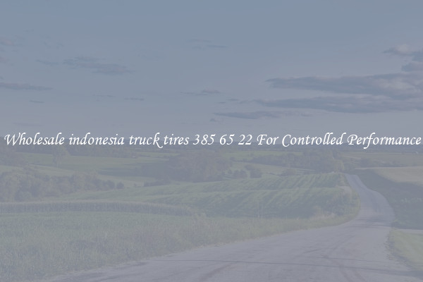 Wholesale indonesia truck tires 385 65 22 For Controlled Performance