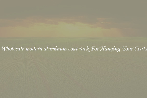 Wholesale modern aluminum coat rack For Hanging Your Coats