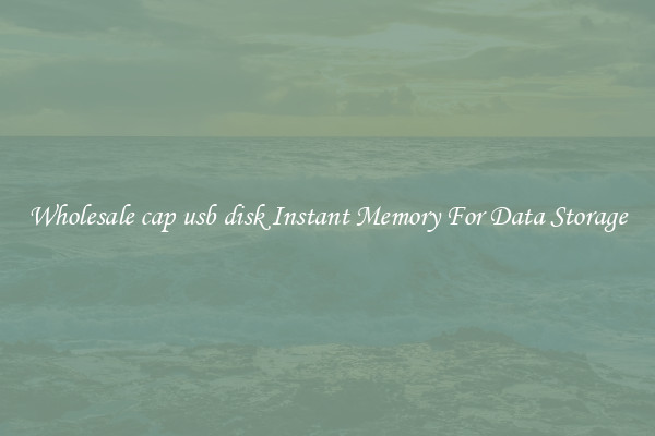Wholesale cap usb disk Instant Memory For Data Storage