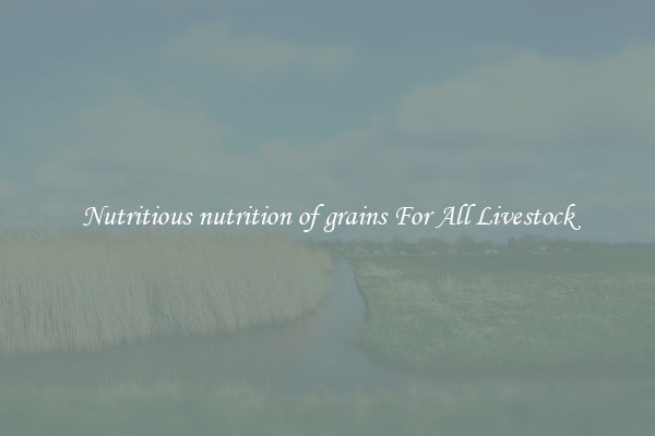 Nutritious nutrition of grains For All Livestock