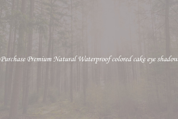 Purchase Premium Natural Waterproof colored cake eye shadow