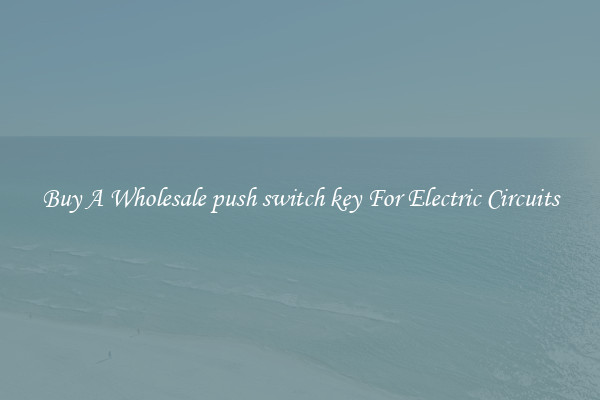 Buy A Wholesale push switch key For Electric Circuits