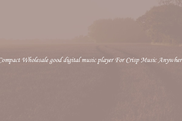 Compact Wholesale good digital music player For Crisp Music Anywhere