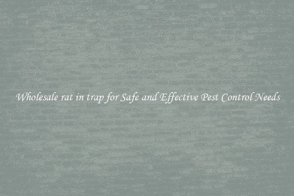 Wholesale rat in trap for Safe and Effective Pest Control Needs