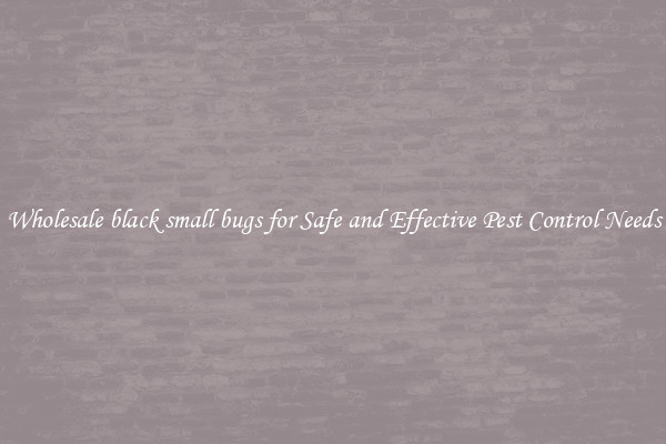 Wholesale black small bugs for Safe and Effective Pest Control Needs