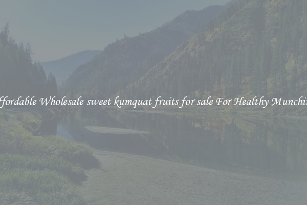 Affordable Wholesale sweet kumquat fruits for sale For Healthy Munching 