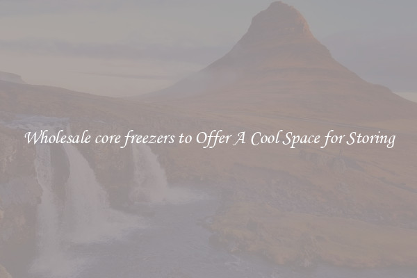 Wholesale core freezers to Offer A Cool Space for Storing