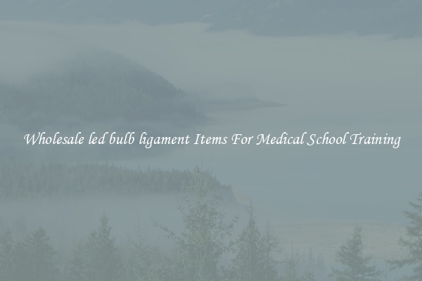 Wholesale led bulb ligament Items For Medical School Training