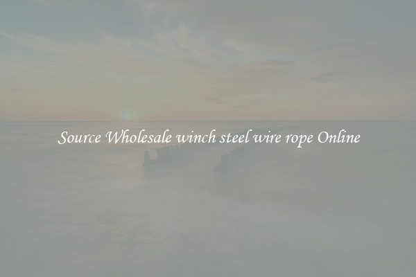 Source Wholesale winch steel wire rope Online