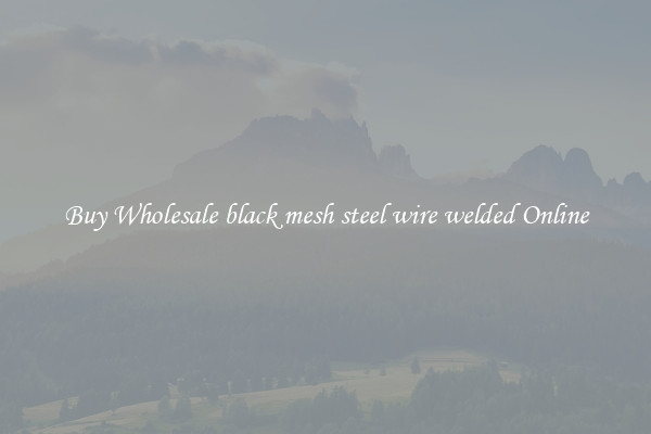 Buy Wholesale black mesh steel wire welded Online