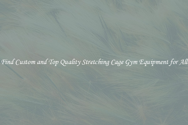Find Custom and Top Quality Stretching Cage Gym Equipment for All