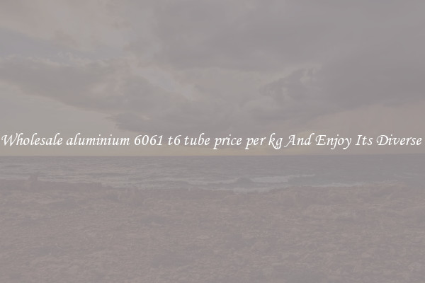 Buy Wholesale aluminium 6061 t6 tube price per kg And Enjoy Its Diverse Uses