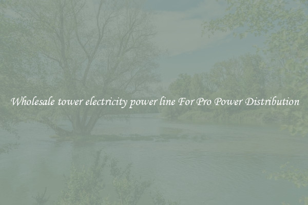 Wholesale tower electricity power line For Pro Power Distribution