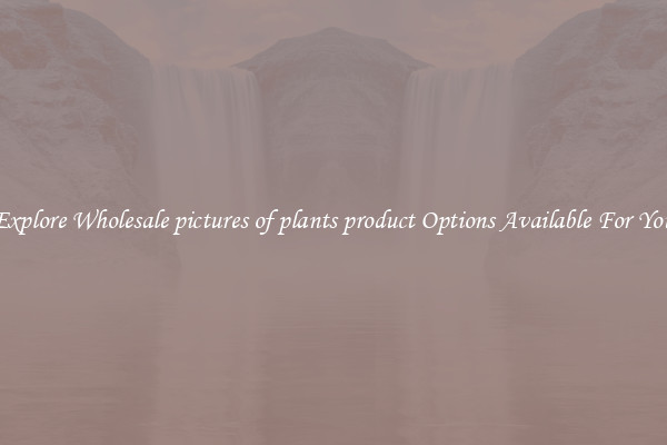 Explore Wholesale pictures of plants product Options Available For You