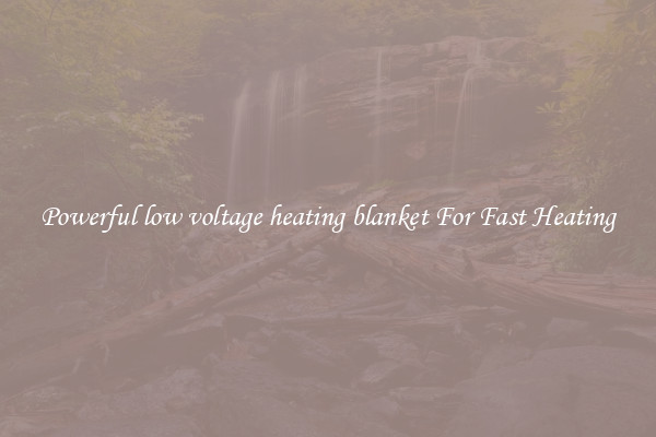 Powerful low voltage heating blanket For Fast Heating