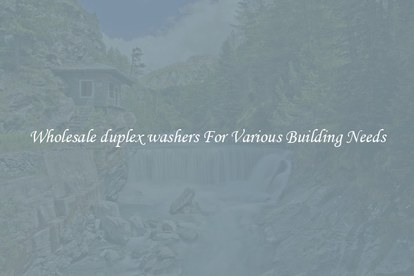 Wholesale duplex washers For Various Building Needs