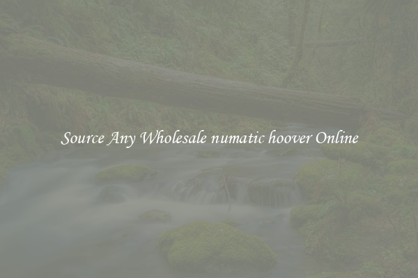 Source Any Wholesale numatic hoover Online