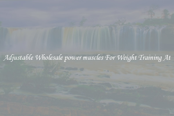 Adjustable Wholesale power muscles For Weight Training At