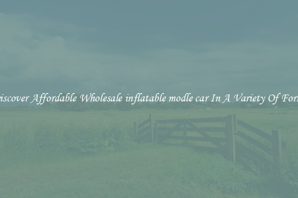 Discover Affordable Wholesale inflatable modle car In A Variety Of Forms