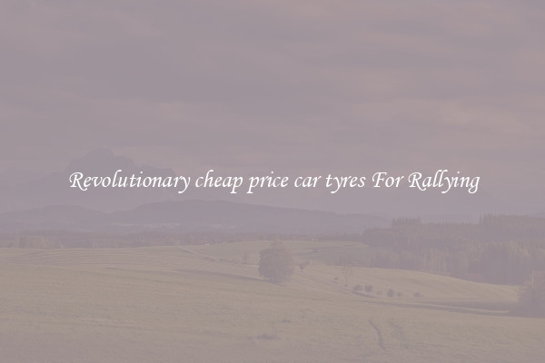 Revolutionary cheap price car tyres For Rallying