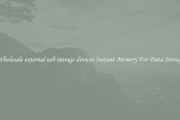 Wholesale external usb storage devices Instant Memory For Data Storage